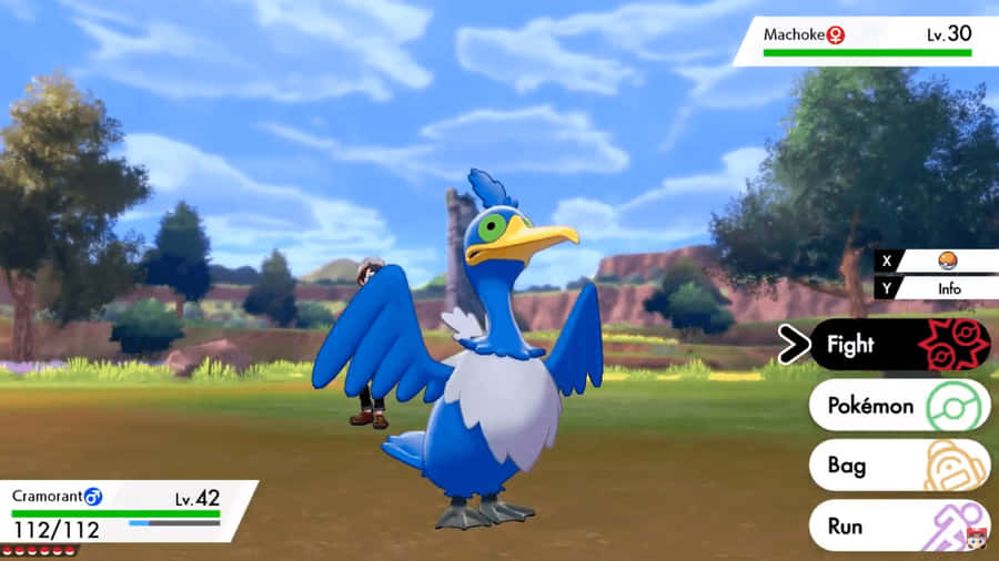 Pokémon Mobile Game Cramorant Wallpaper