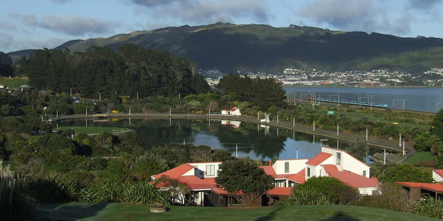 Porirua Scenic View New Zealand Wallpaper