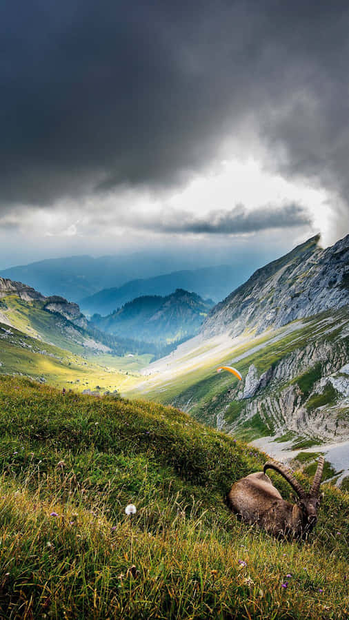 Portrait Photography Beautiful Mountain Range View Wallpaper