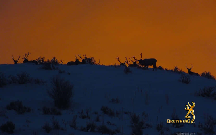 Power Of Browning Desktop Wallpaper