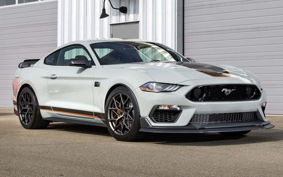 Powerful Ford Mustang Mach 1 On The Road Wallpaper