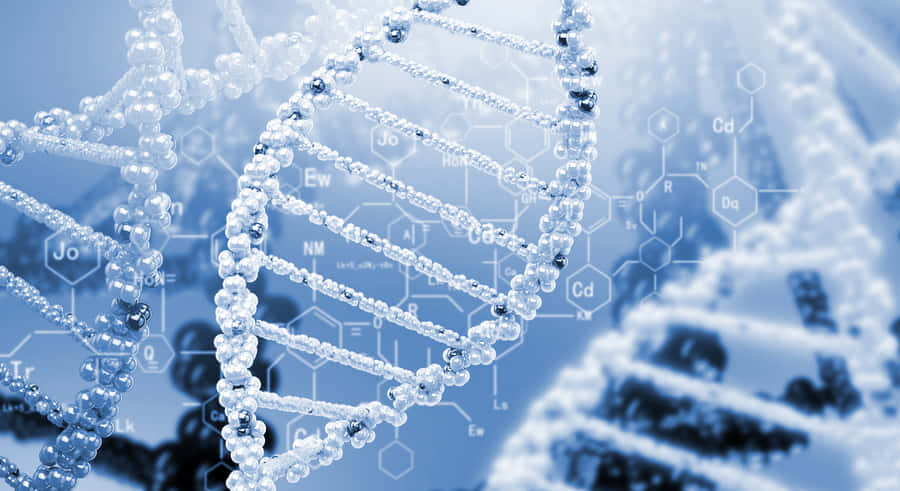 Precise Dna Model Wallpaper
