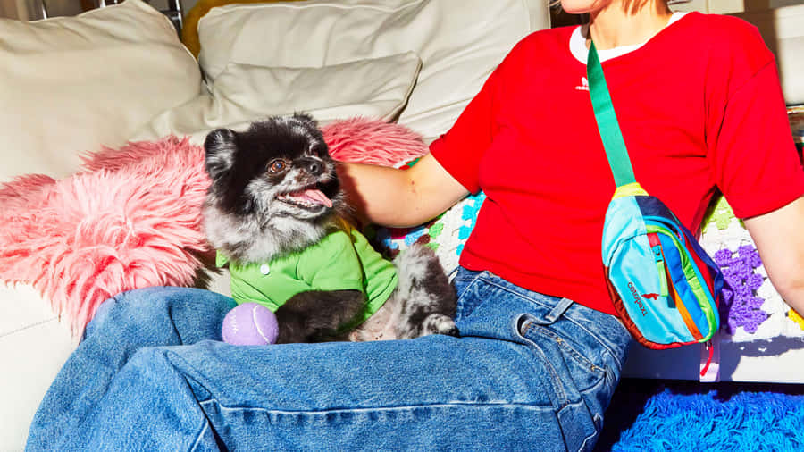 Preppy Pupin Green Polo Shirt Wallpaper