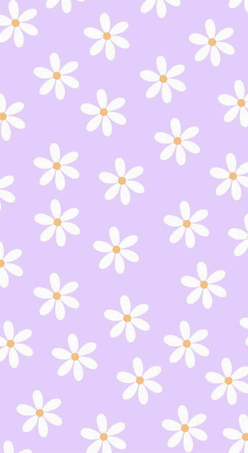 Preppy Spring Daisy Pattern Wallpaper