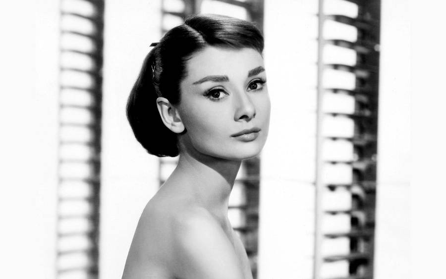 Pretty Desktop Audrey Hepburn Wallpaper