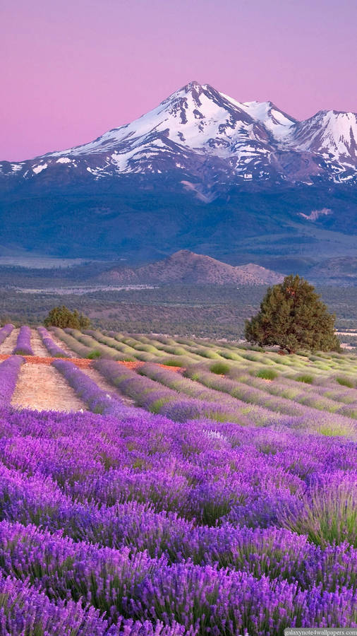 Pretty Mountain Fields Lock Screen Wallpaper