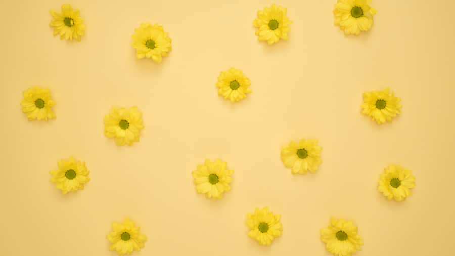 Pretty Yellow Aesthetic Flower Desktop Wallpaper