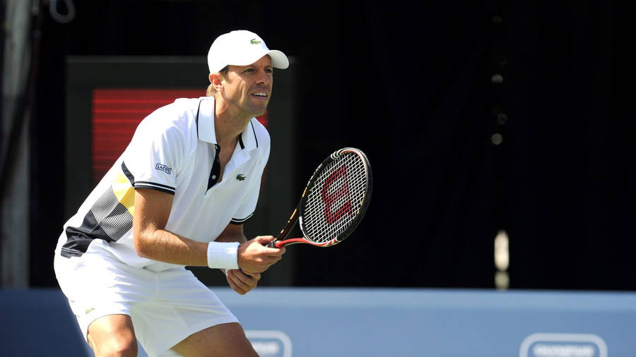 Professional Tennis Player Daniel Nestor Wearing Lacoste Outfit. Wallpaper