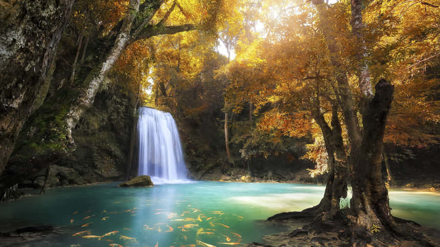 Protect Your Privacy With A Lock Screen On Your Laptop Wallpaper