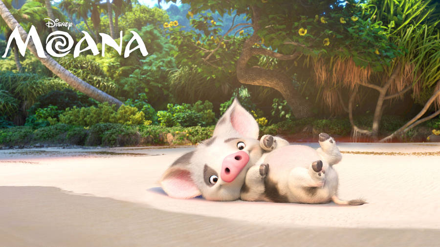 Pua The Pig Moana 4k Wallpaper