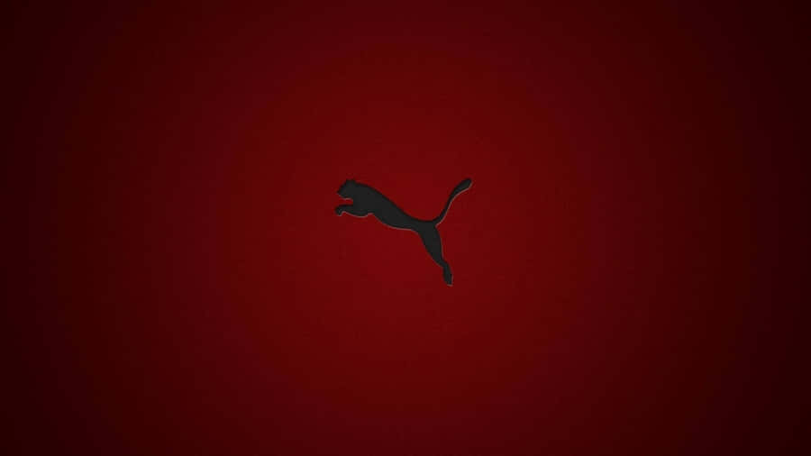 Puma Logoon Red Background Wallpaper