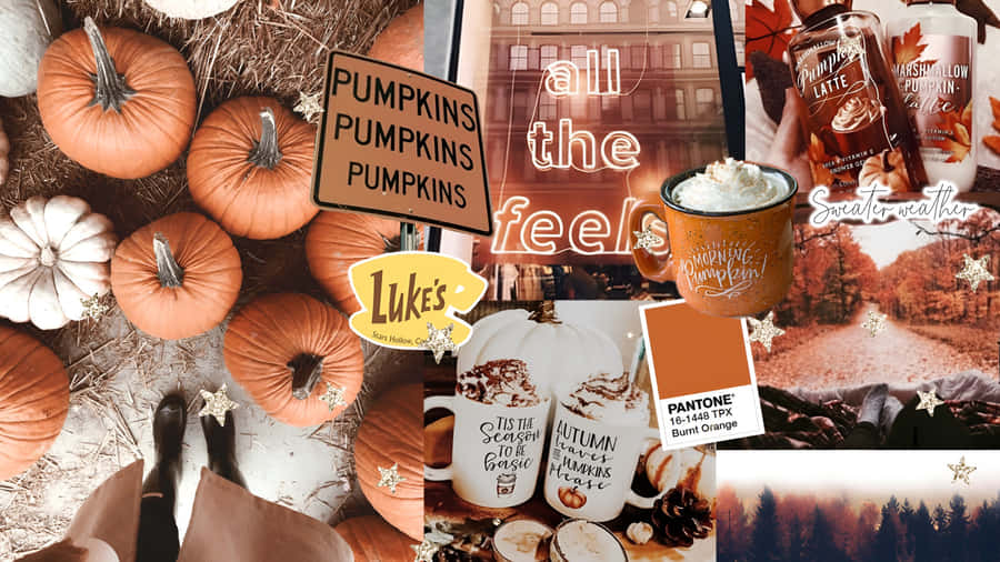 Pumpkin Junk Inspiration Wallpaper