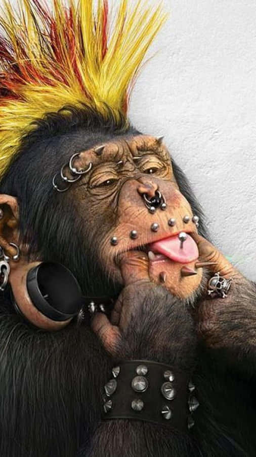 Punk Rock Monkey Meme Wallpaper