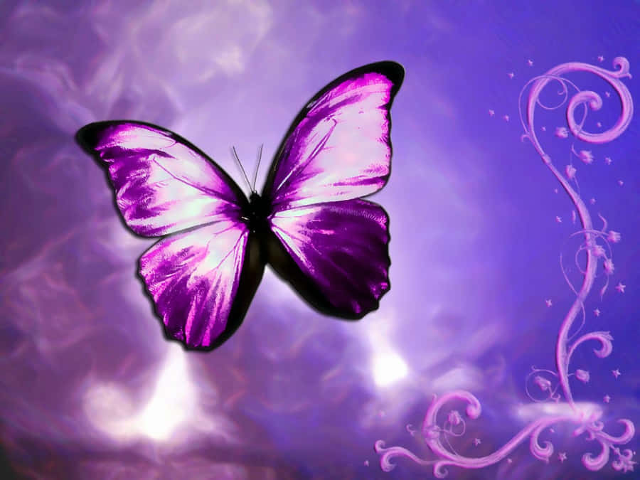 Purple Butterfly Fantasy Background Wallpaper