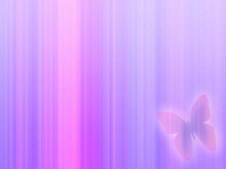 Purple Butterfly Lines Wallpaper