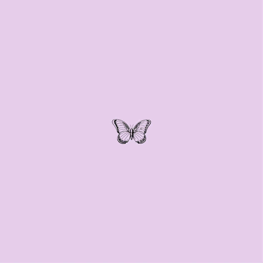 Purple Butterfly Simplicity Wallpaper