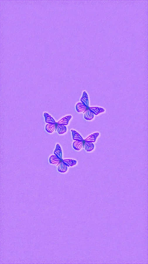 Purple Butterfly Wallpaper Wallpaper