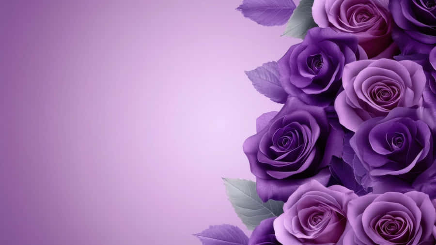 Purple Floral Elegance Wallpaper