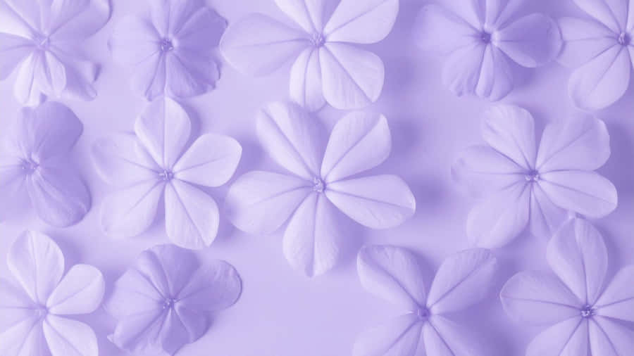 Purple Floral Pattern Wallpaper