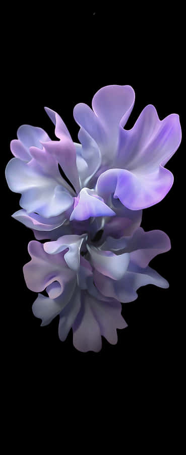 Purple Gradient Flower Black Background Wallpaper
