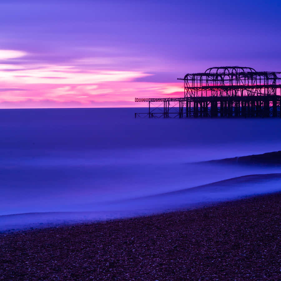 Purple Haze - Nature's Intense Beauty Wallpaper