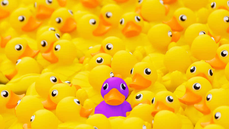 Purple Rubber Duck Among Yellows Wallpaper