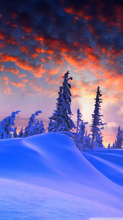 Purple Snow And Trees Winter Iphone Wallpaper