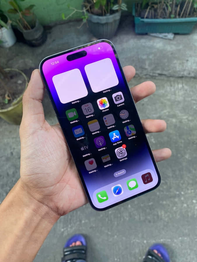 Purplei Phone14 Pro Maxin Hand Wallpaper