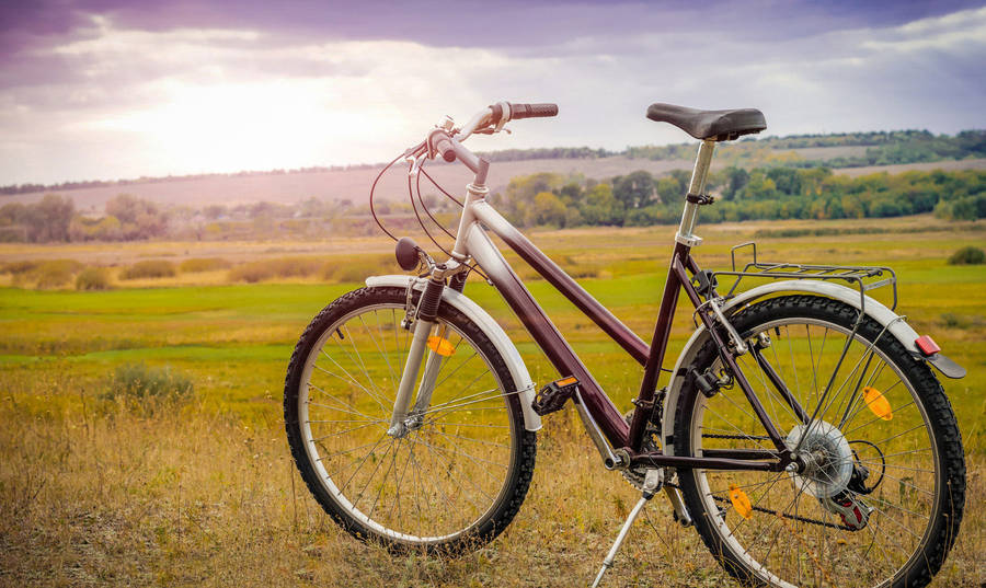 Purplish White Mountain Bike Wallpaper