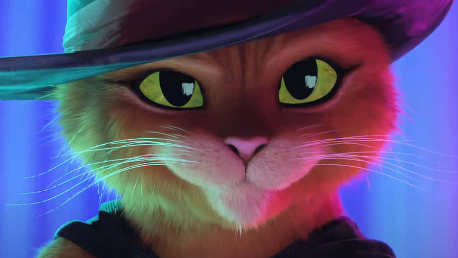 Puss In Boots Close Up Portrait Wallpaper