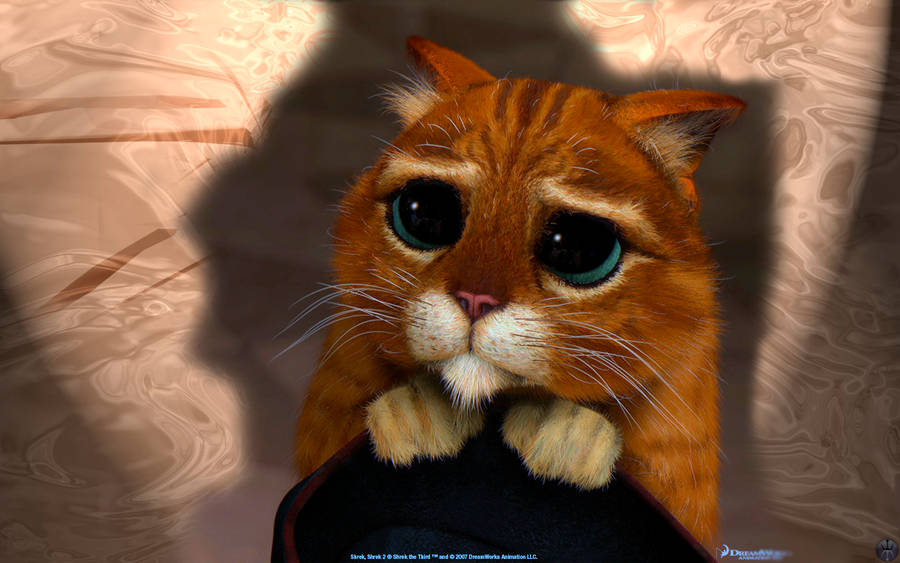 Puss In Boots Pleading Eyes Wallpaper