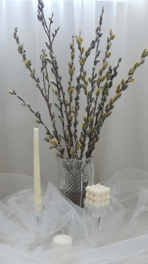 Pussy Willow Branches Arrangement Wallpaper