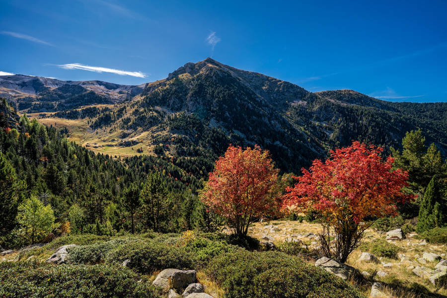 Pyrenees Autumn Andorra Wallpaper