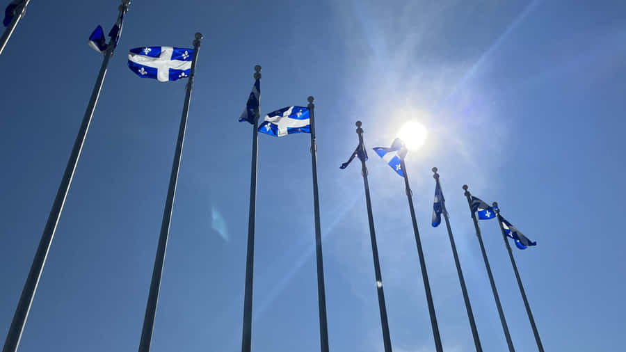 Quebec_ Fleurdelise_ Flags_ Saint_ Jean_ Baptiste Wallpaper