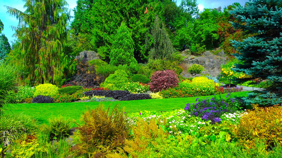 Queen Elizabeth Park Garden Shrubs Wallpaper