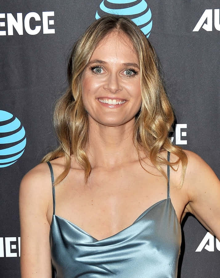 Rachel Blanchard Event Appearance Silver Dress Wallpaper