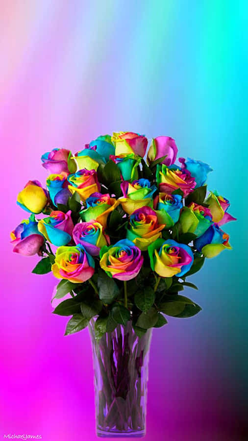 Rainbow Flower Iphone Vase Of Roses Wallpaper