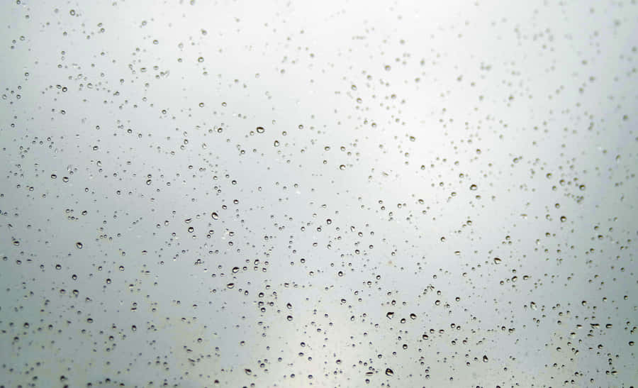 Raindropson Glass Texture Wallpaper
