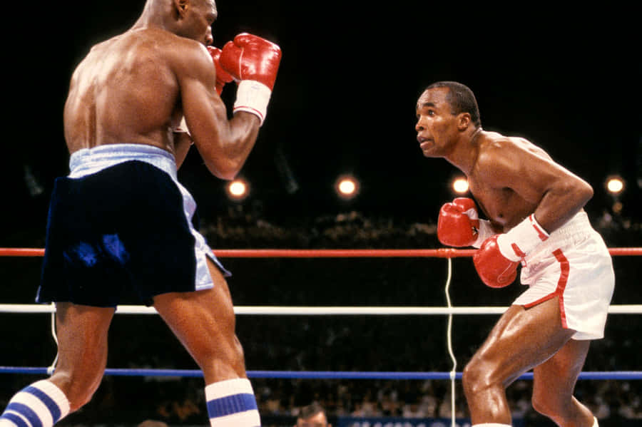 Ray Leonard Ready To Box In The Ring Wallpaper