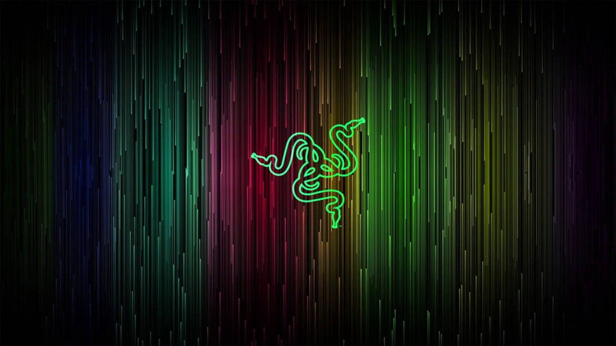Razer Multicolored Lines Wallpaper