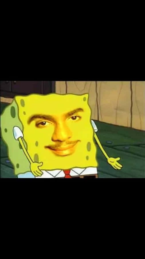 Real Face Spongebob Funny Discord Pfp Wallpaper