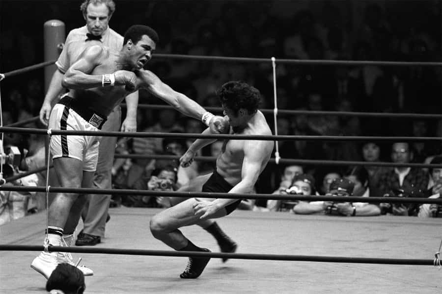 Receiving Blows Antonio Inoki Wallpaper