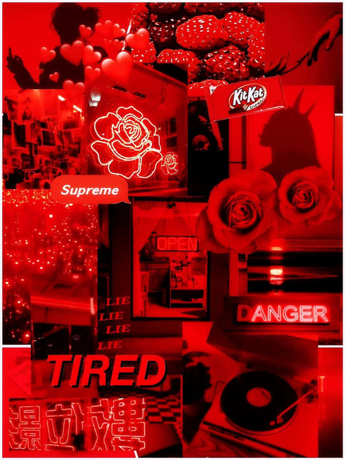 Red Aesthetic Tumblr Photo Compilation Roses Neon Signs Wallpaper