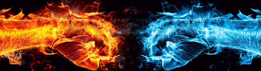 Red And Blue Flames Dance Together In Harmony Wallpaper