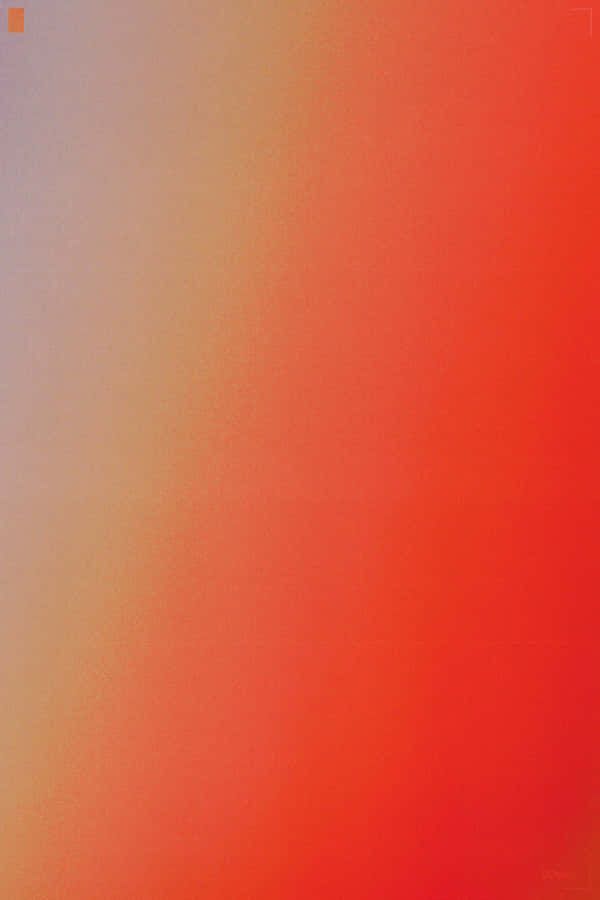 Red And Orange Dragons Wallpaper