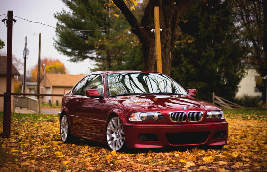 Red B M W E46 Autumn Leaves Wallpaper