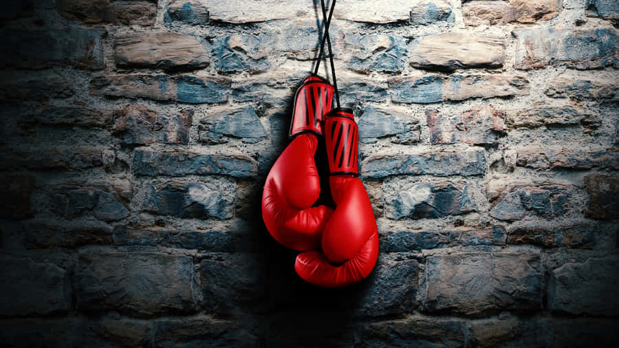 Red Boxing Gloves Hanging Stone Wall Wallpaper