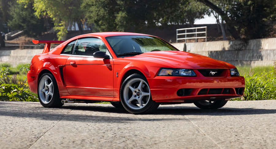 Red Ford Mustang S V T Cobra Wallpaper