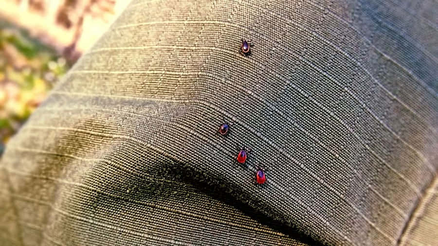 Red Miteson Fabric Wallpaper