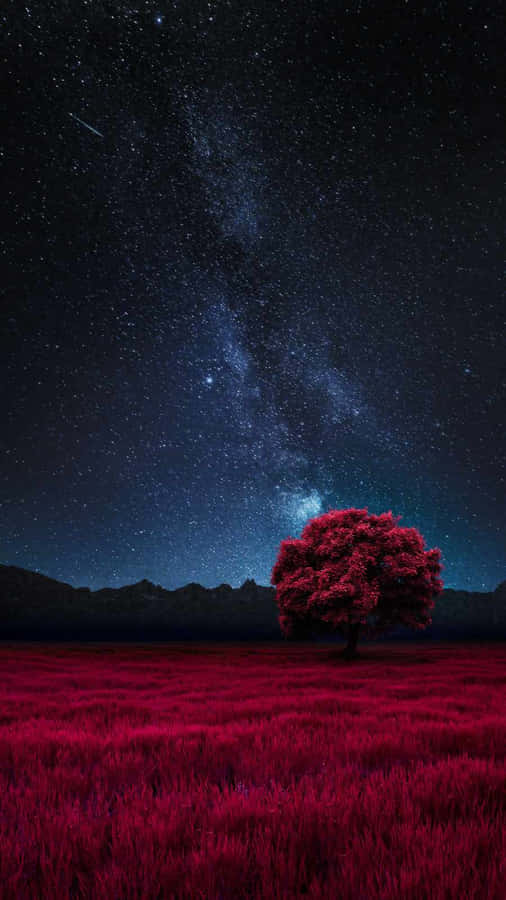 Red Tree Starry Night Wallpaper